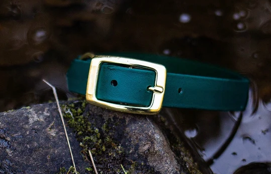 The Sister Doodles Collar Co - Biothane Buckle Collar - Forest with Brass