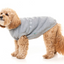 Fuzzyard - Street Sweater - Various Colors