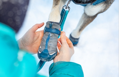 RC Pets - Arctic Boot (Set of 4)