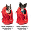 Kurgo - G-Train Dog Carrier Backpack