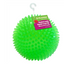 Royal Pet - Gnawsome Ball - Squeak & Light