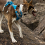 Ruffwear- Flagline Dog Harness