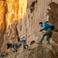 Ruffwear - Knot-a-Leash