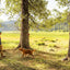 Ruffwear - Knot-A-Hitch