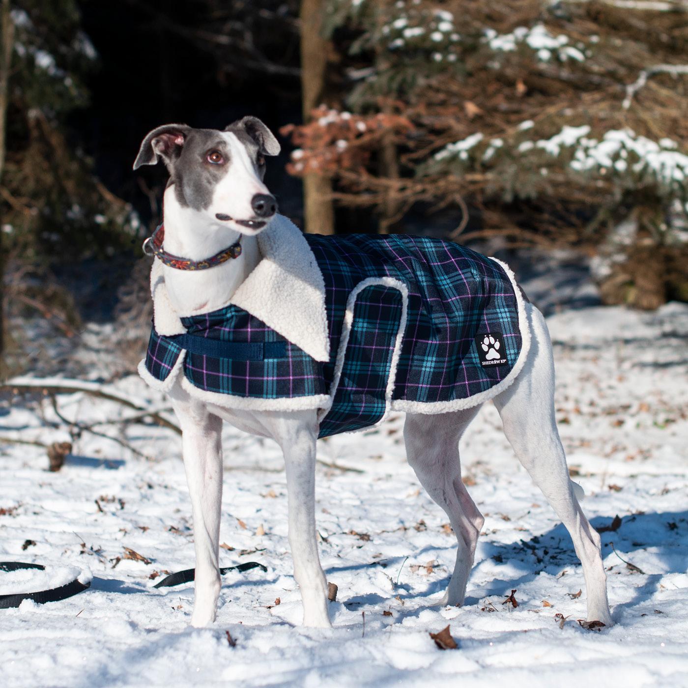 Shedrow K9 - Aspen Dog Coat