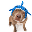 Zoo Snoods - Baby Blue Shark