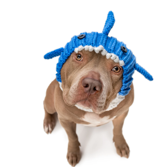 Zoo Snoods - Baby Blue Shark