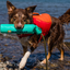 Ruffwear - Lunker