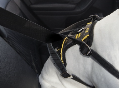 Kurgo - Impact Seatbelt Harness