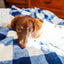 Tall Tails - Fleece Blanket - Navy Plaid